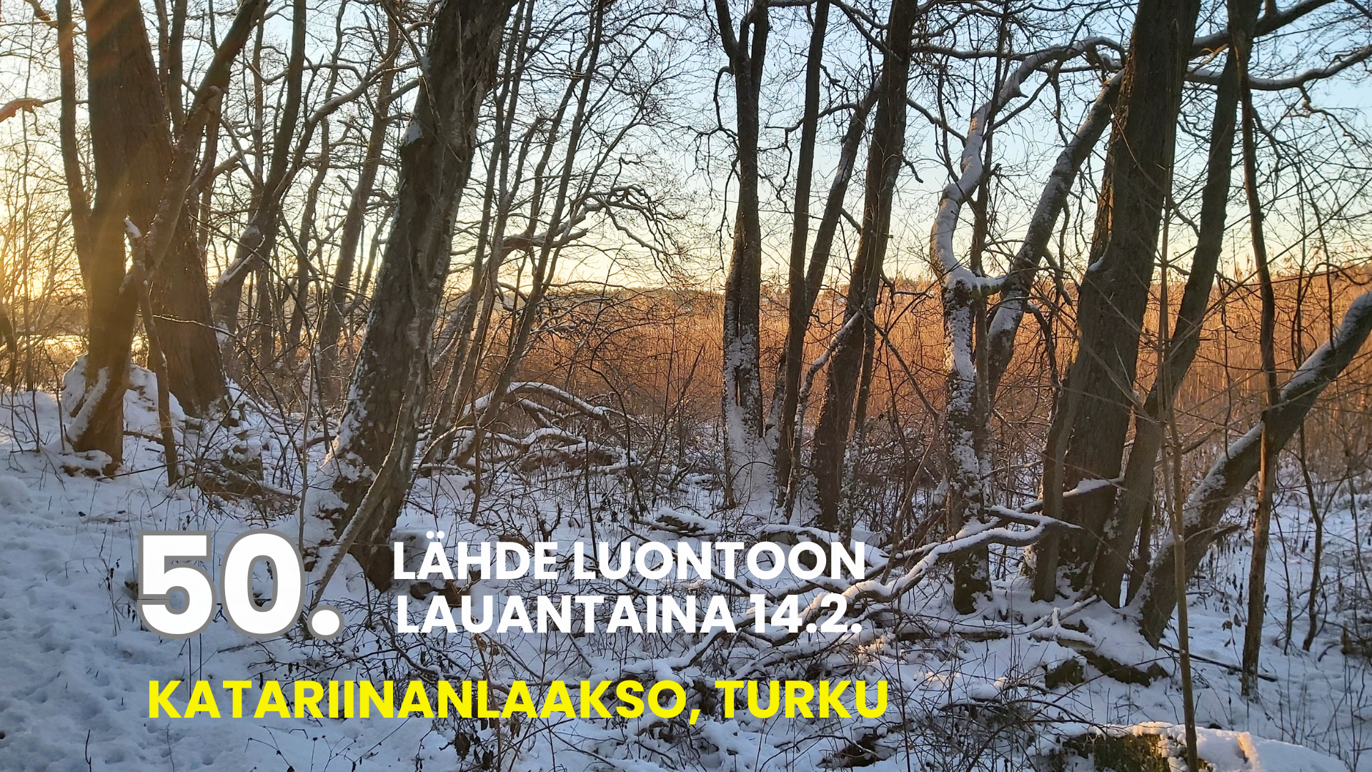 ÄHDE LUONTOON 14.2. (Esitys)