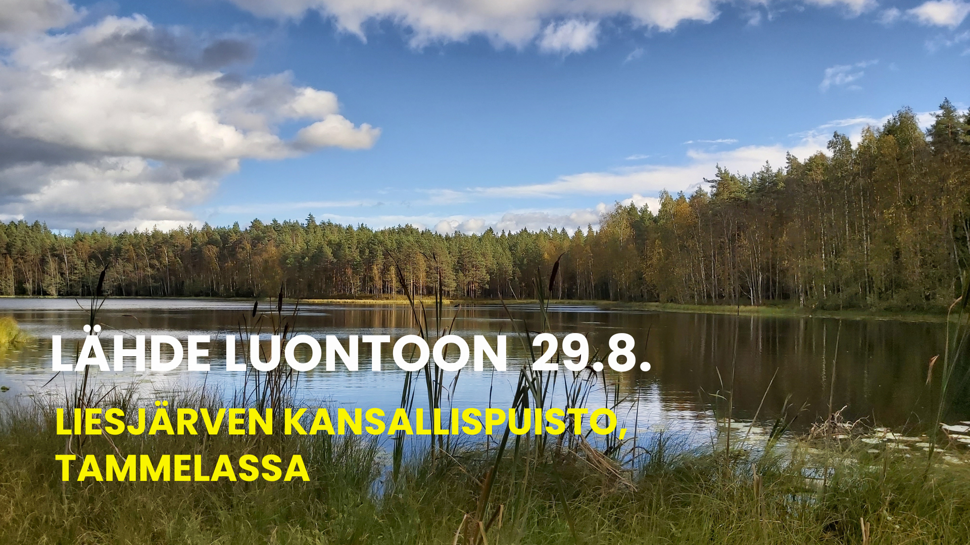 Lähden_luontoon_29_08_26_tykitys